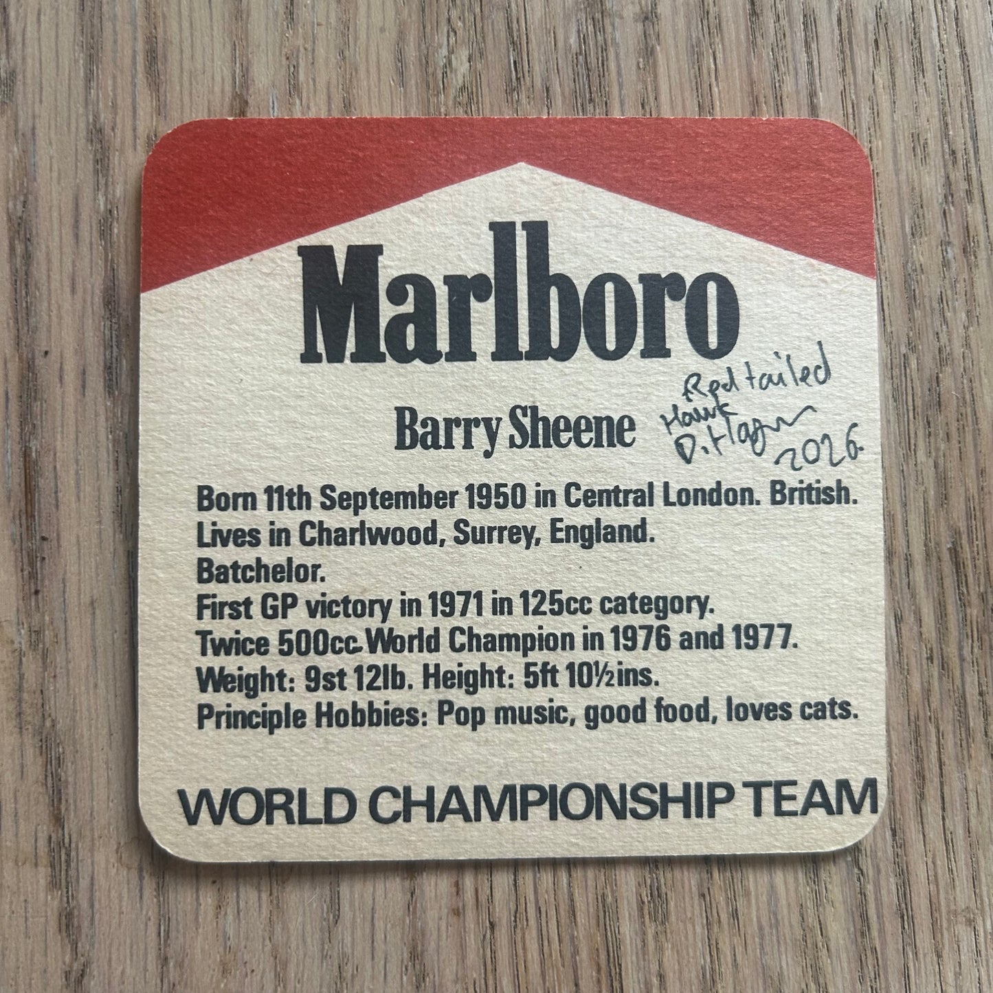 A Red Tailed Hawk painted onto a Barry Sheene Malboro World Championship Team beer mat from the 1970s. Beermat painting. Watercolour.