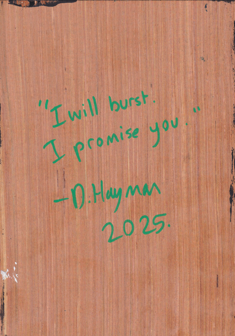 ‘I will burst I promise you.’ A5 night painting. Acrylic on board. Framed. 2025 25