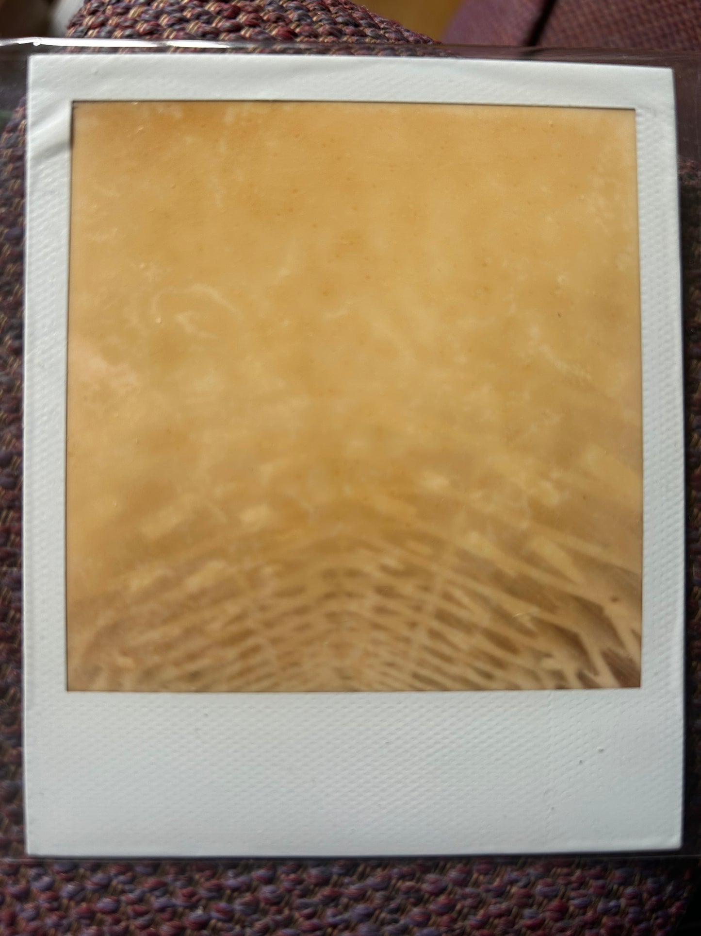 Polaroid photo 010. A Polaroid photo by Darren used for the rear cover of his album The Green and the Grey. Darren will sign the back of the photograph.