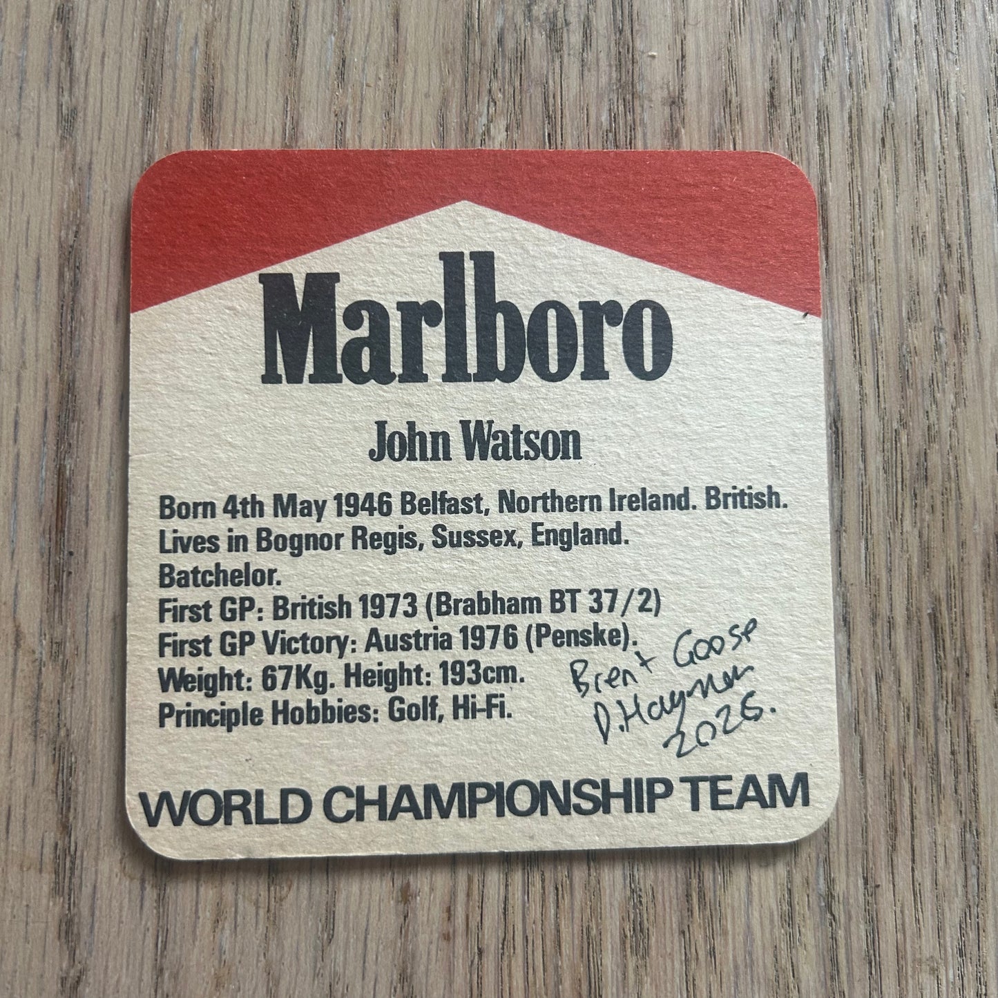 A Brent Goose painted onto a John Watson Malboro World Championship Team beer mat from the 1970s. Beermat painting. Watercolour.