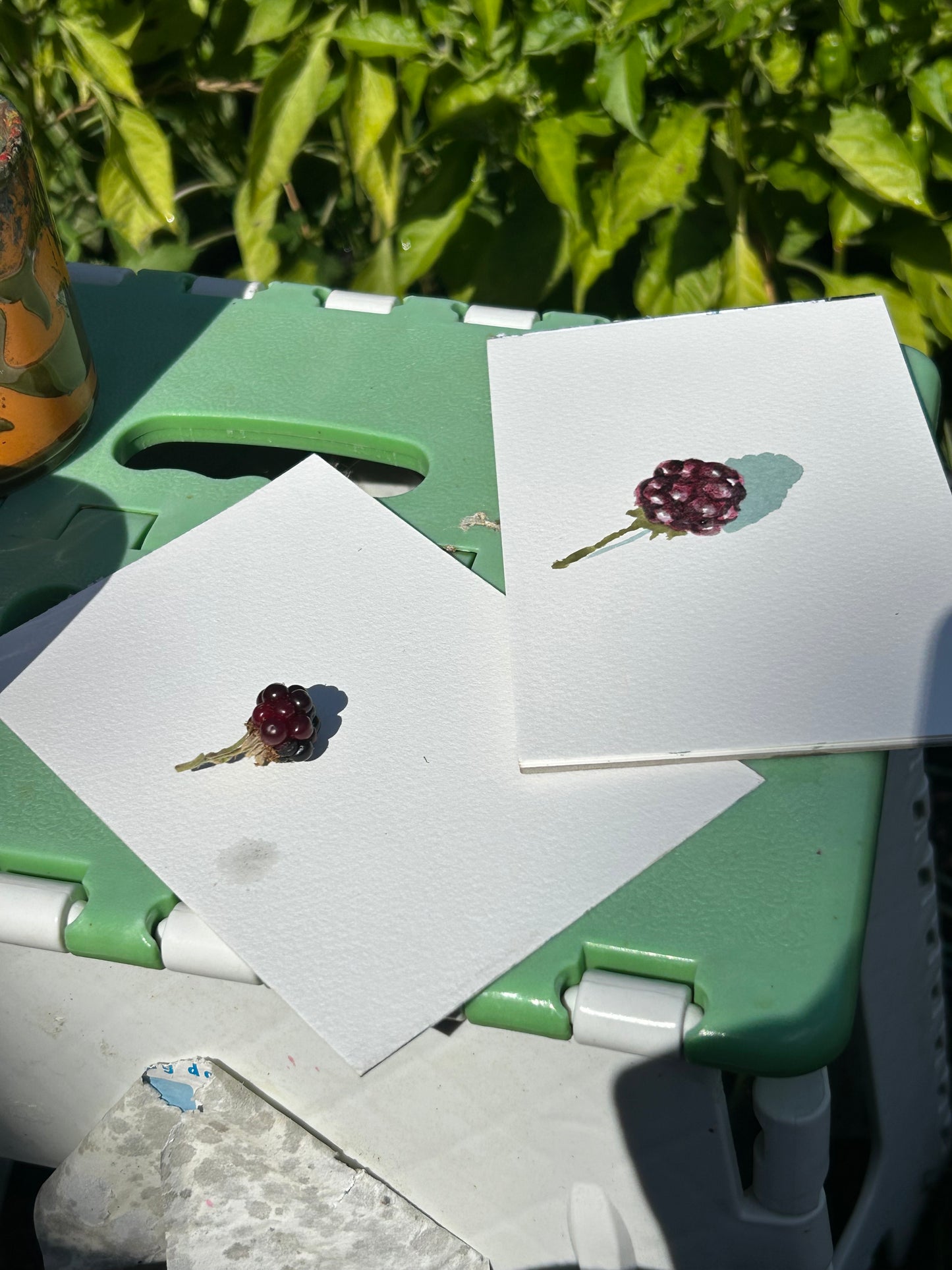 A blackberry from my allotment painted with blackberry juice from my allotment. Postcard Painting. watercolour.