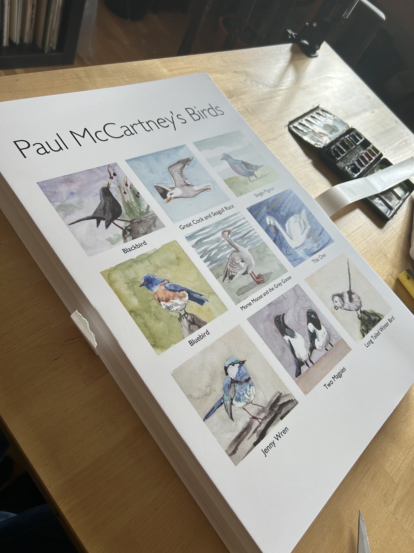 'Paul McCartney's Birds' Limited Print