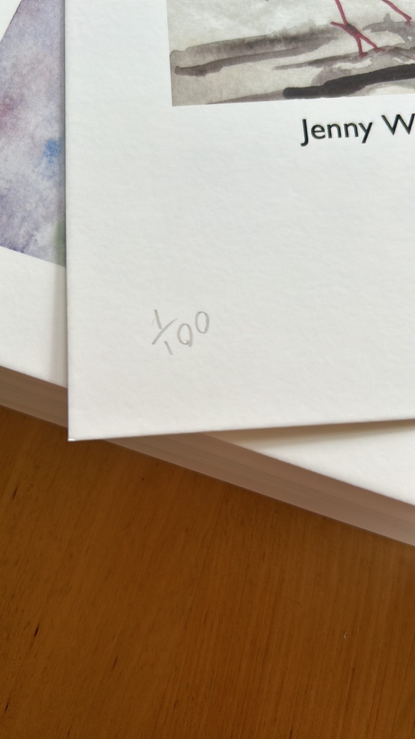 'Paul McCartney's Birds' Limited Print
