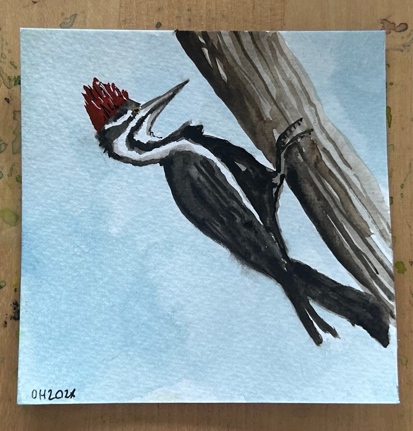 Woodpecker. 10cm square watercolour painting.
