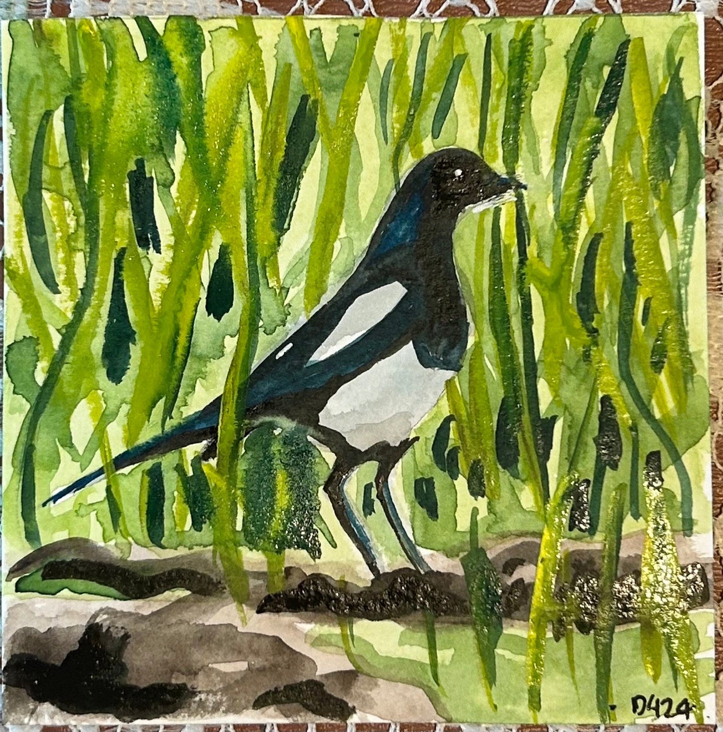 Magpie. 10cm square watercolour painting.