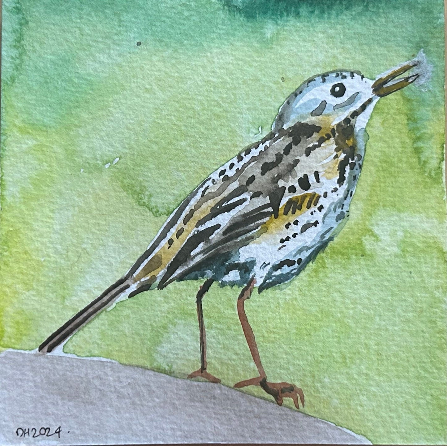Meadow Pipit. 10 cm square watercolour painting.