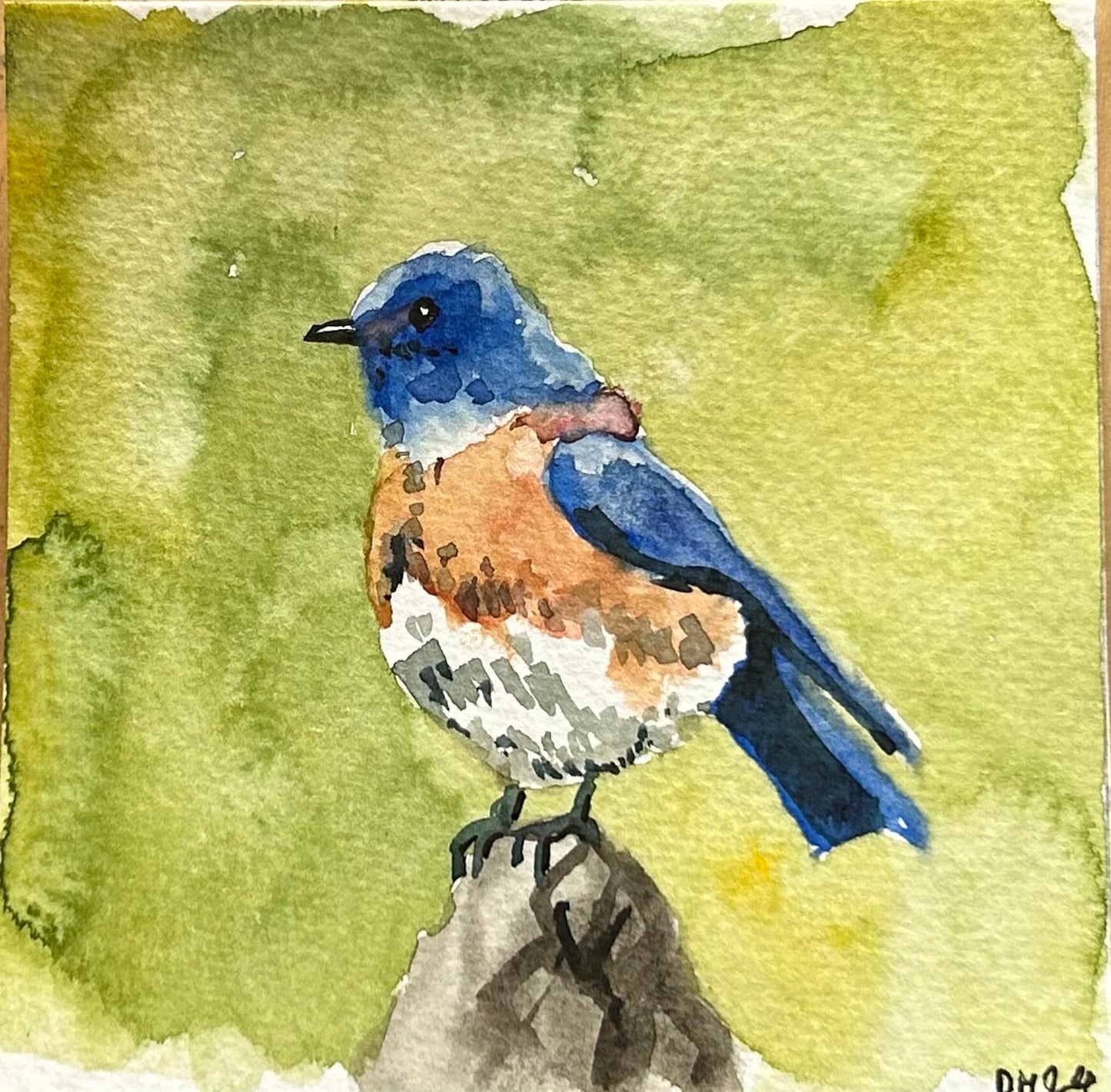 Bluebird. (Paul McCartneys birds). 10cm square watercolour painting.