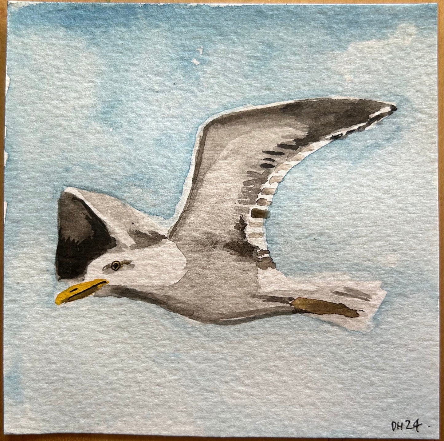 Seagull. (Paul McCartneys birds from the Great Cock and Seagull Race). 10cm square watercolour painting.