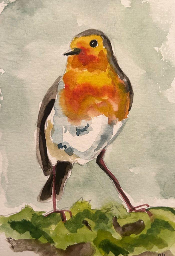 Robin. Watercolour. Postcard sized. Painting.