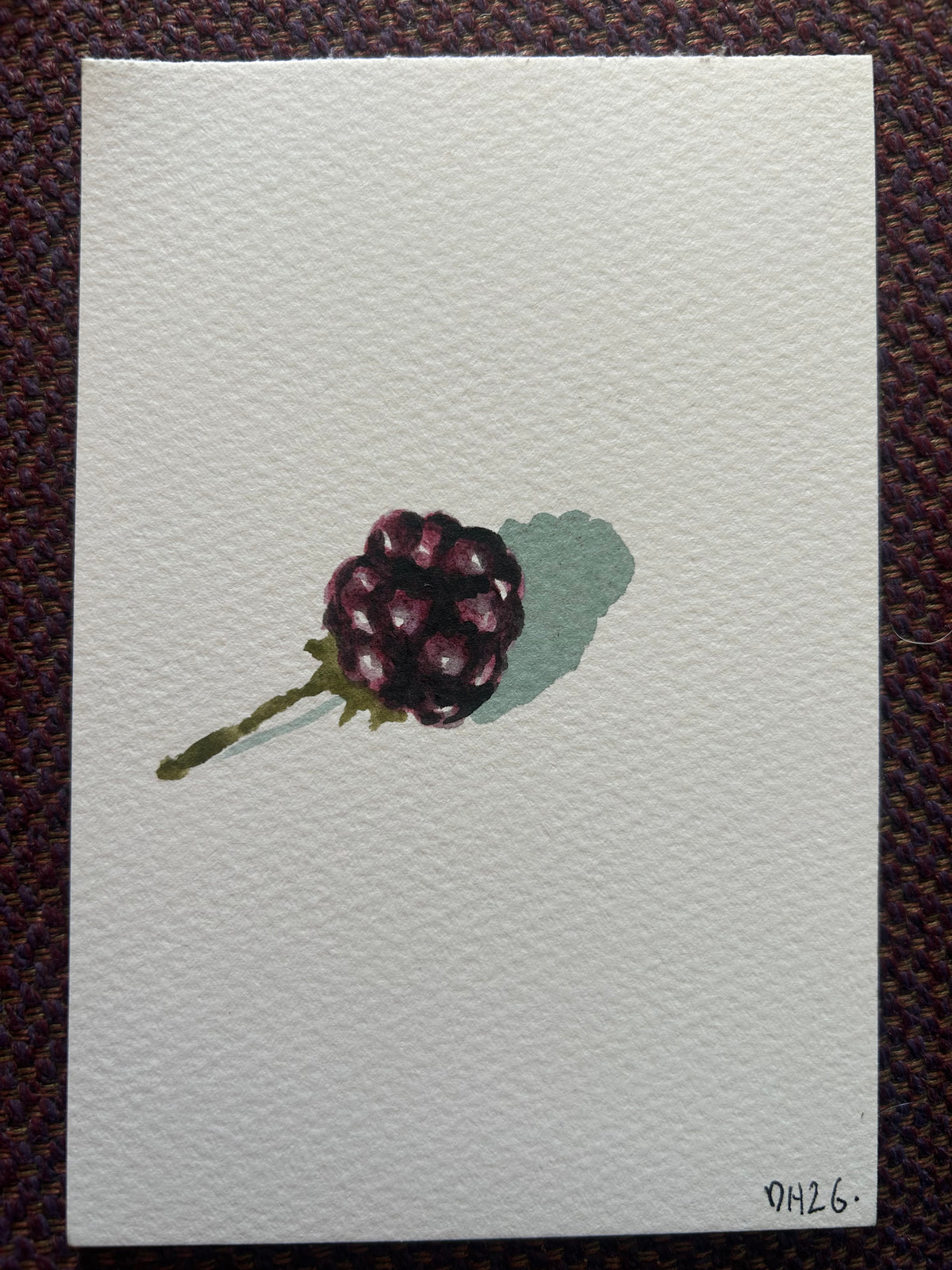 A blackberry from my allotment painted with blackberry juice from my allotment. Postcard Painting. watercolour.