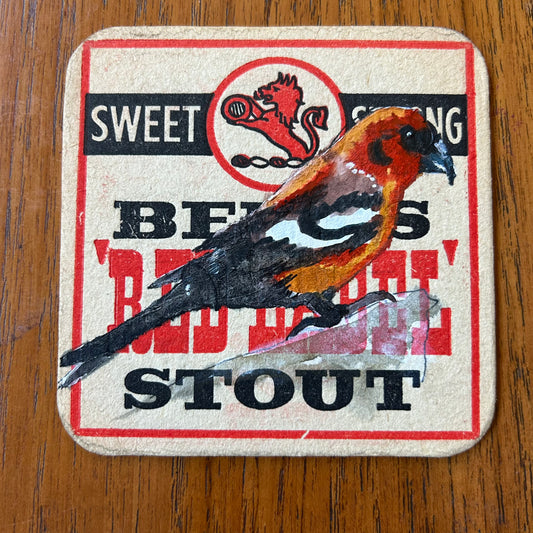 A Crossbill painted onto a ‘’Bent’s” Beer Mat from the 1960s. Beer mat painting. watercolour and acrylic on card.