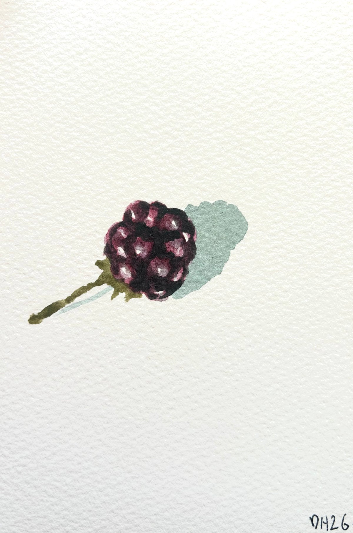 A blackberry from my allotment painted with blackberry juice from my allotment. Postcard Painting. watercolour.
