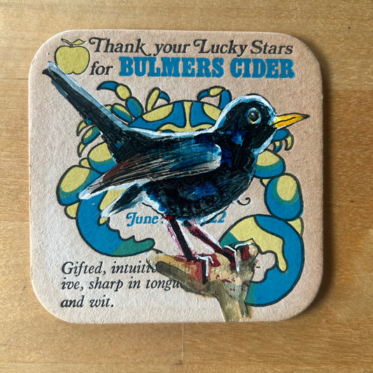 A Blackbird painted onto a 1970s Bulmer’s Cider Zodiac drinks mat (Cancer). Beermat painting. Watercolour.