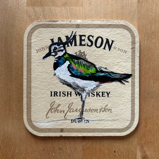 A Lapwing painted onto a Jameson drinks mat from the 1980s. Beermat painting. Watercolour.