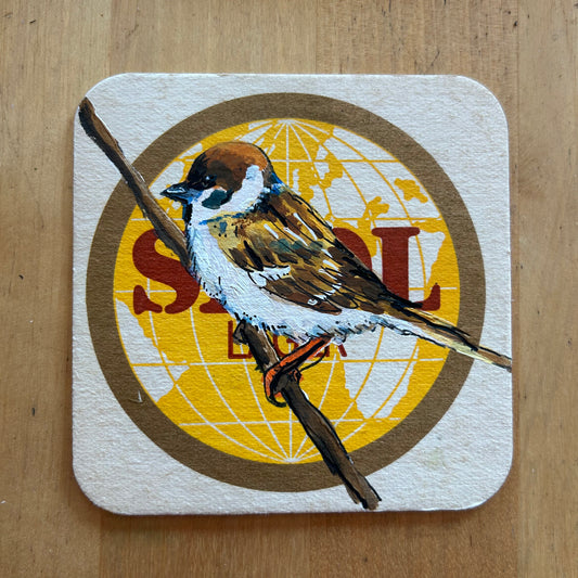 A Sparrow painted onto a Skol beermat. Beermat painting. Watercolour.