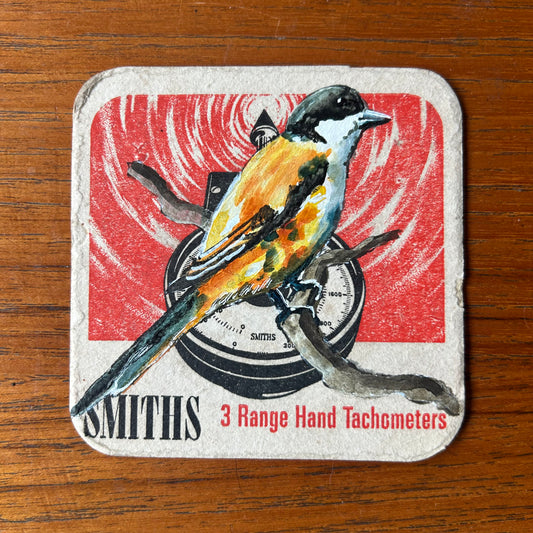 A Longtailed Shrike painted onto a ‘’Smiths - 3 Range Hand Tachometers” Beer Mat from the 1960s. Beer mat painting. watercolour and acrylic on card.
