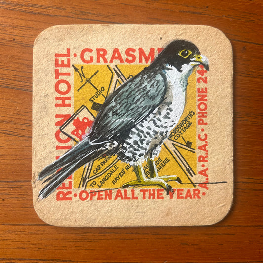 Peregrine Falcon painted onto a beer mat from the Red Lion in Grasmere. Beermat painting. Watercolour.