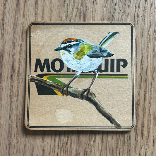 A Goldcest painted onto a Motorquip beer mat from the 1970s. Beermat painting. Watercolour.