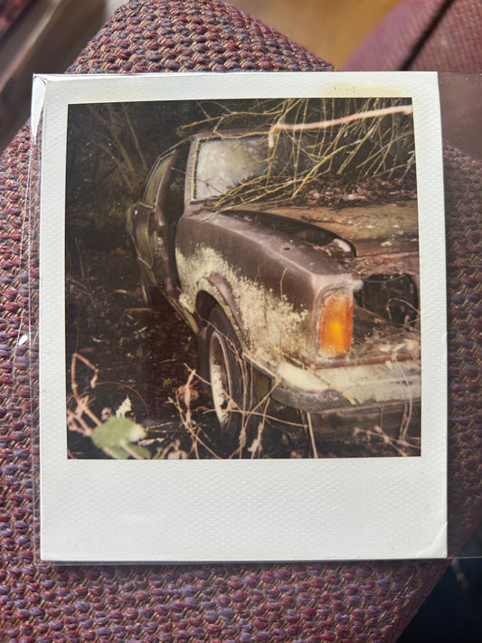 Polaroid photo 006. A Polaroid photo by Darren used as part of the artwork for his album ‘Essex Arms’. Darren will sign the back of the photograph.