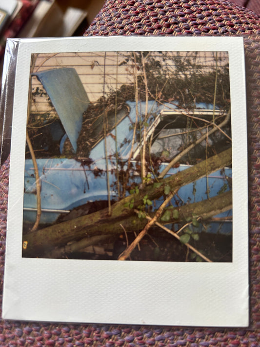Polaroid photo 011. A Polaroid photo by Darren used as part of the artwork for his album Essex Arms. Darren will sign the back of the photograph.