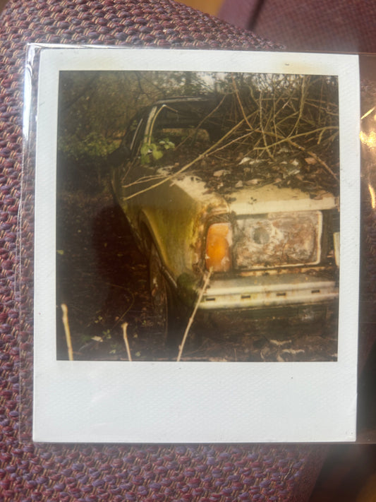 Polaroid photo 015. A unused Polaroid photo by Darren for the  Essex Arms album. Darren will sign the back of the photograph.